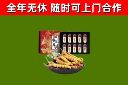 七星回收冬虫夏草价格